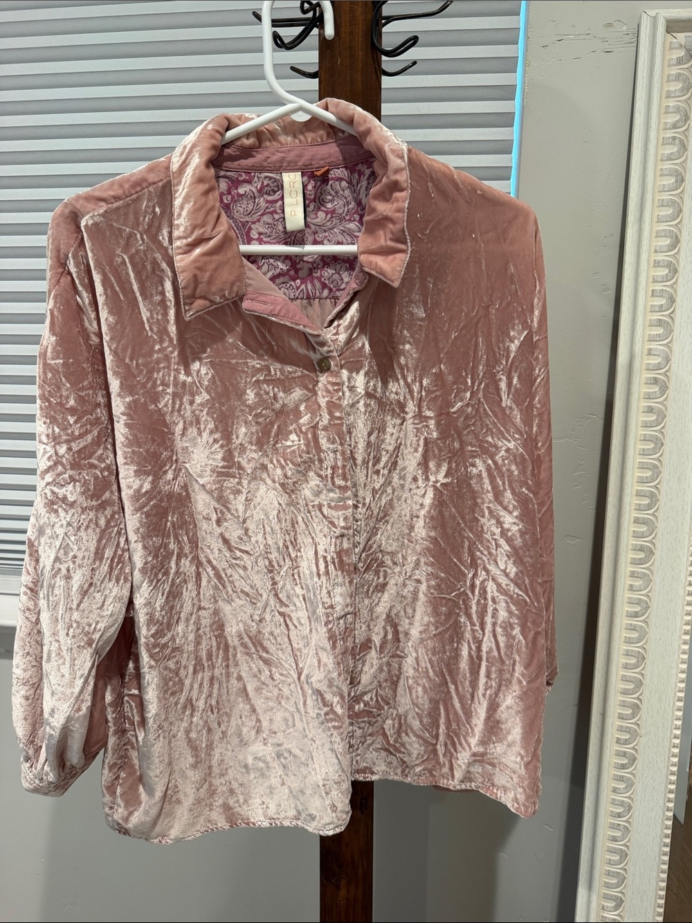 Anthropologie Crushed Velvet Button-Down Shirt in Blush Pink